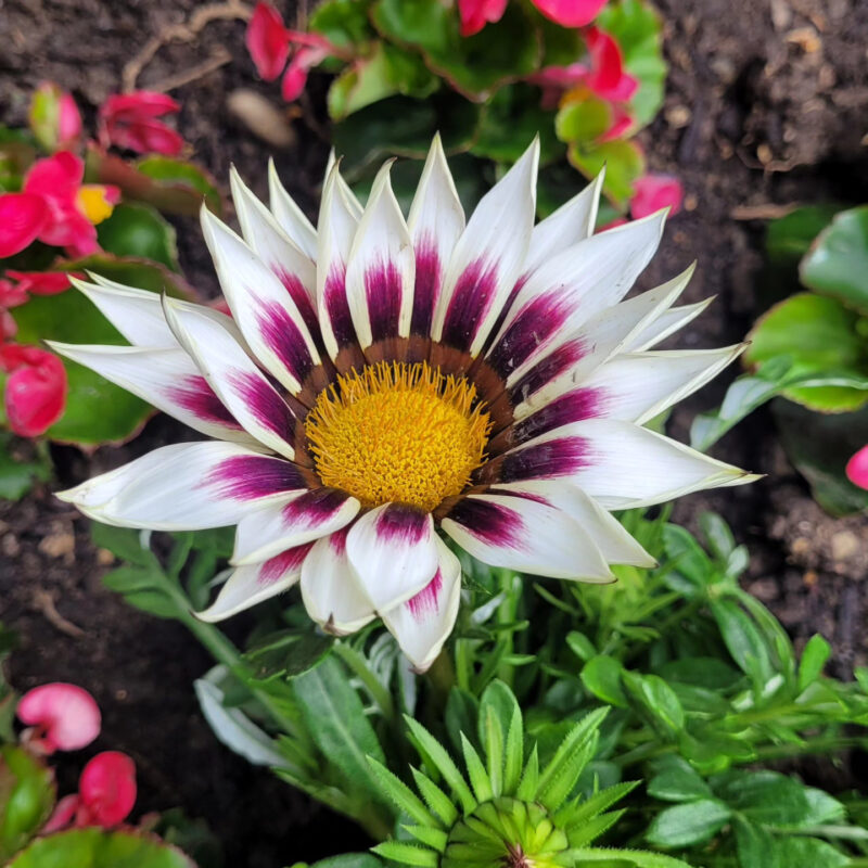 IMG 20230518 152928 810