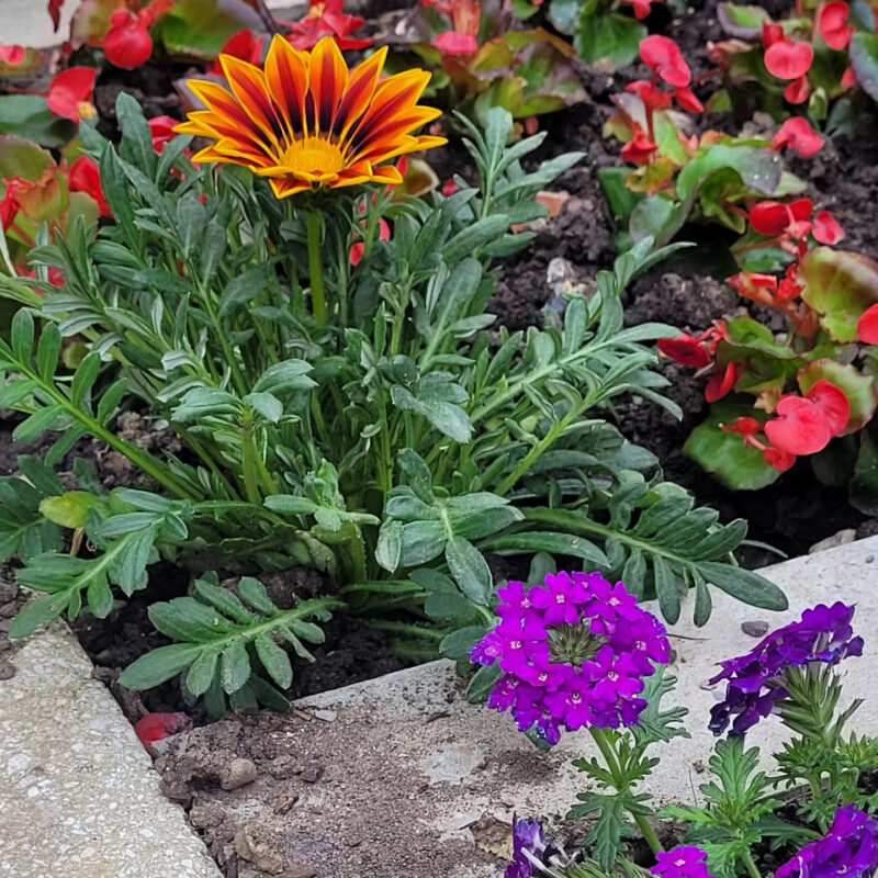 IMG 20230518 152928 920