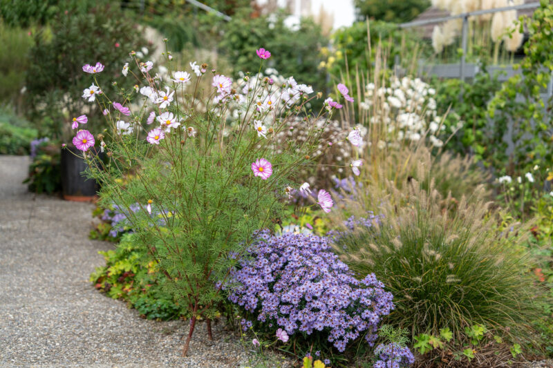 W Neerach Rebhaldenstrasse DSC4938