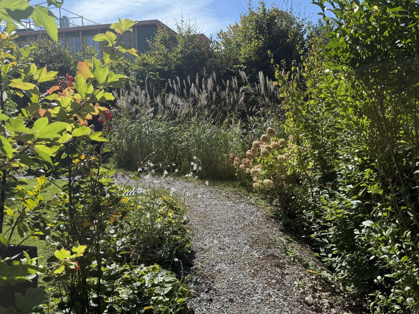 D05f7aa0 d1f2 4367 90cc 15f932b09db7 jpeg 1920x1920 q80