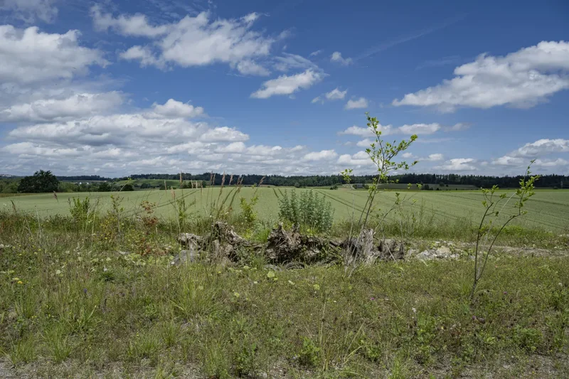 0914 katzensee 20240616 0691
