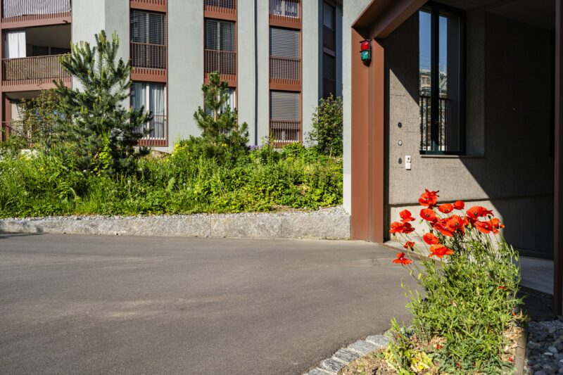 101560 Dietikon 20260508 6259