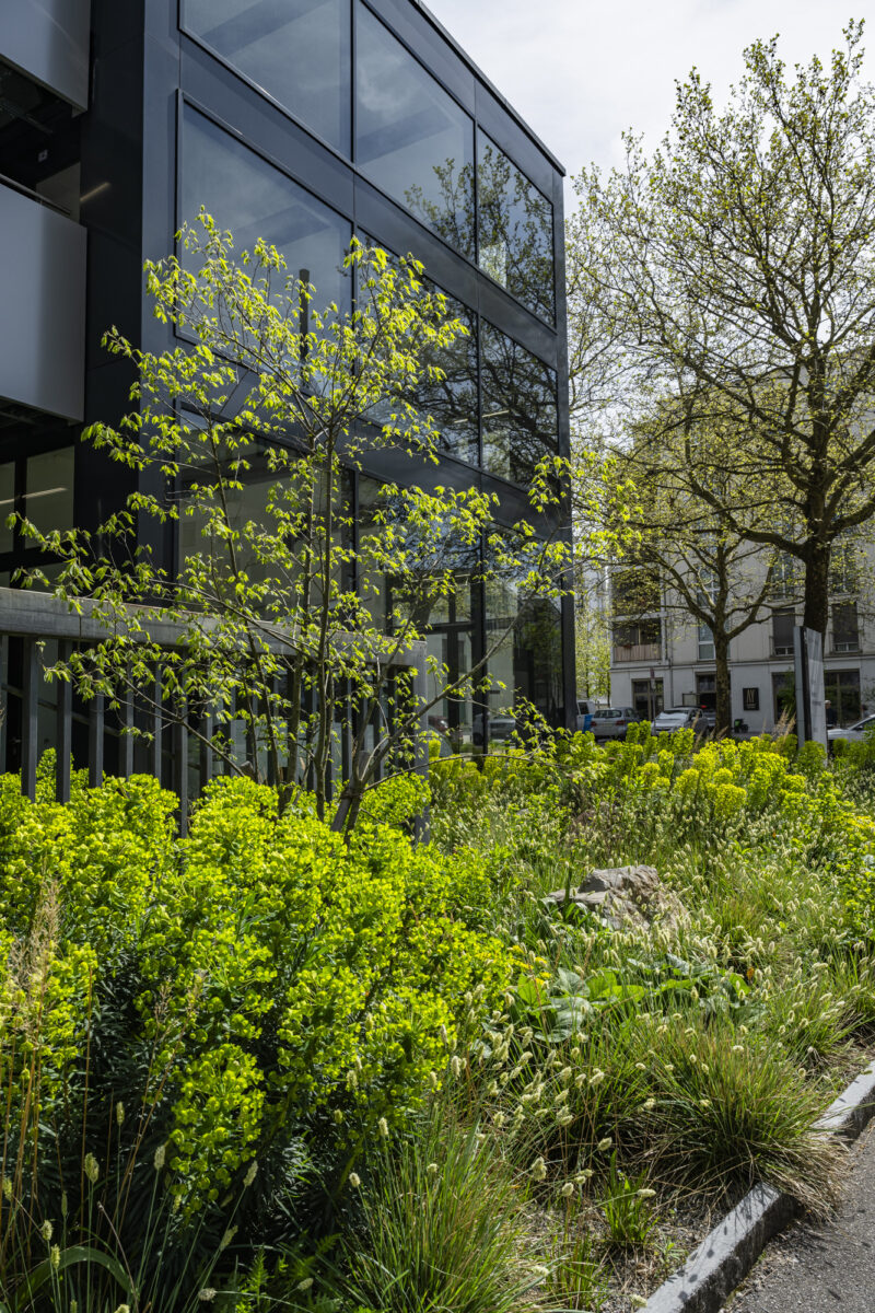 11568 Hagenholzstrasse 20260417 5632