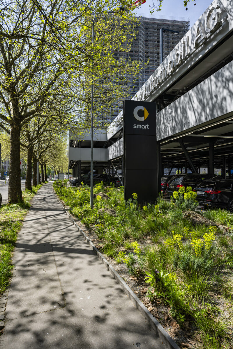 11568 Hagenholzstrasse 20260418 5696