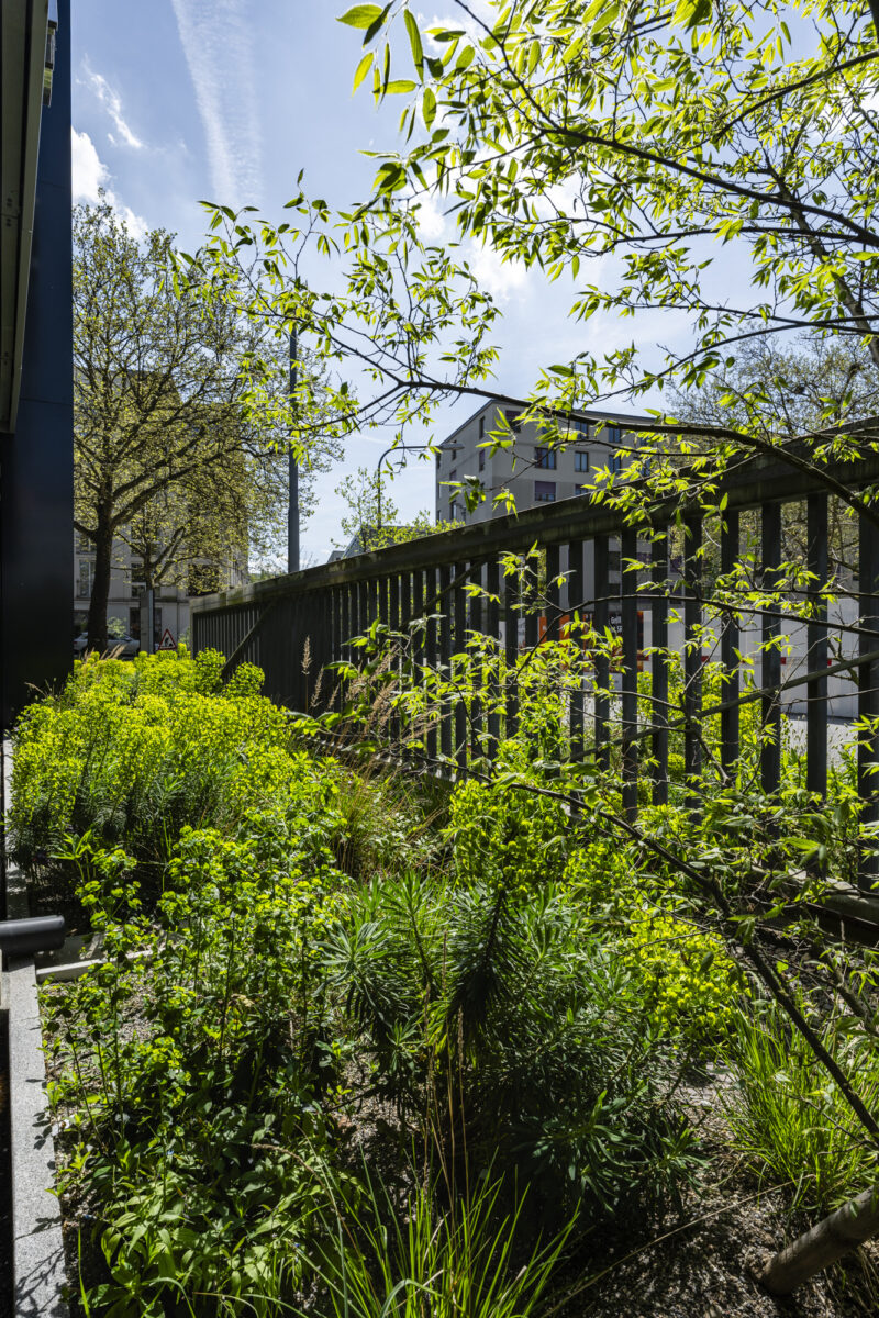 11568 Hagenholzstrasse 20260418 5704