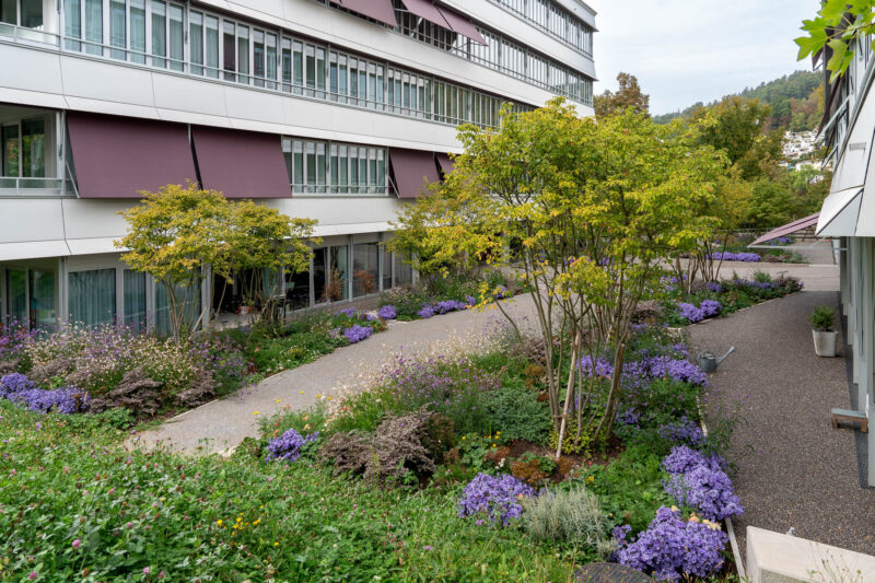 W Baden Roemerstrasse DSC5050