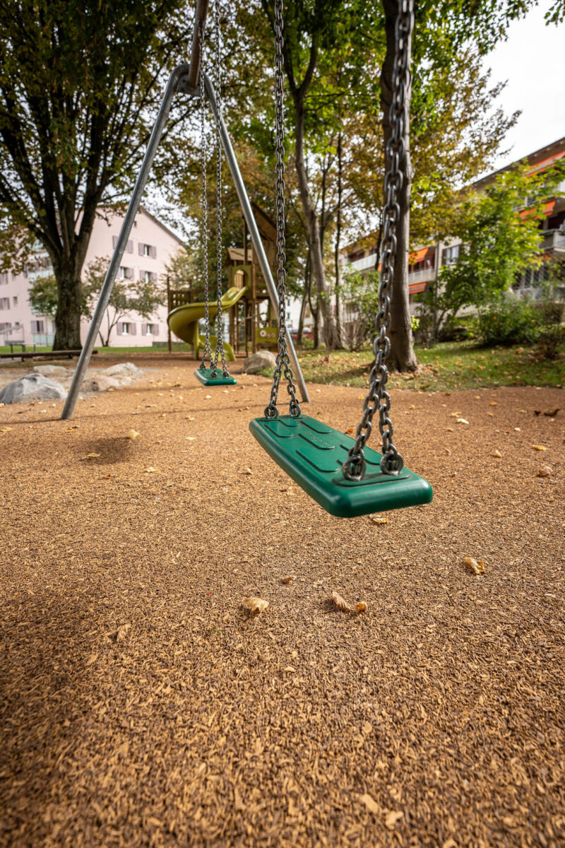 W Regensdorf Hoenggerstrasse DSC4981