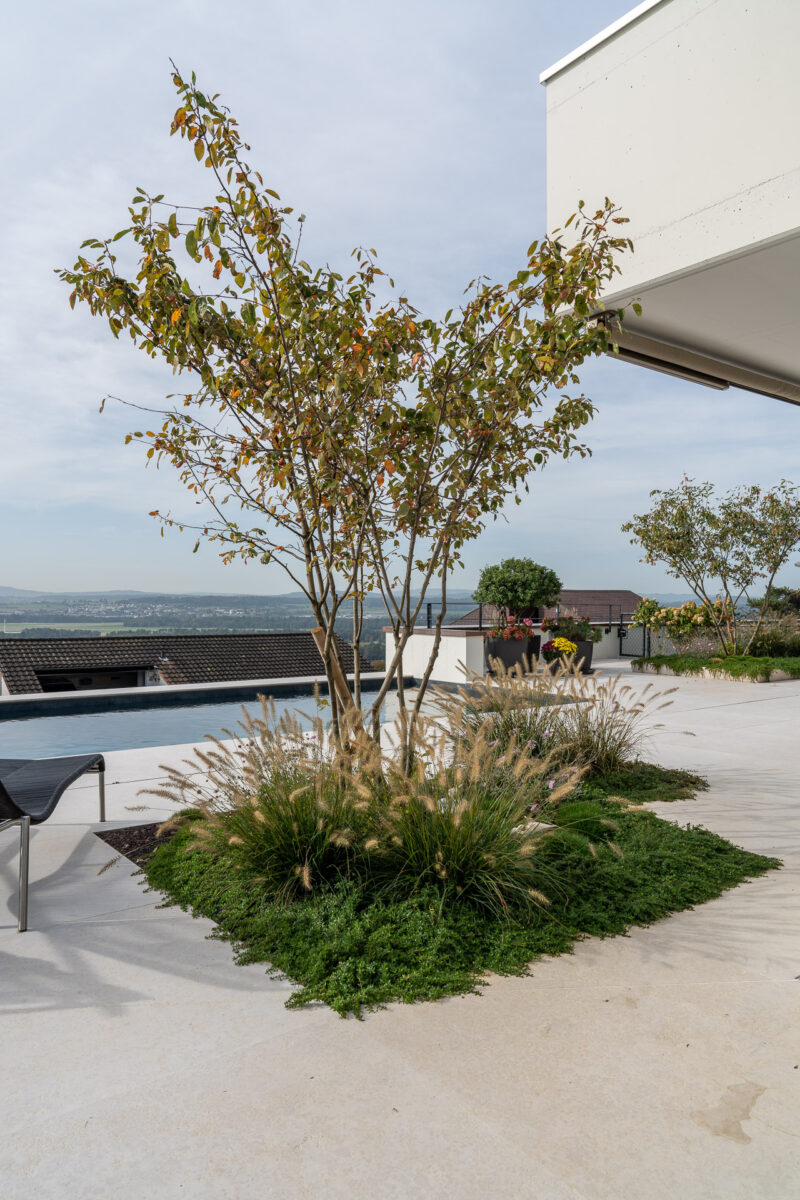 W Winkel Buelrebenstrasse DSC5084