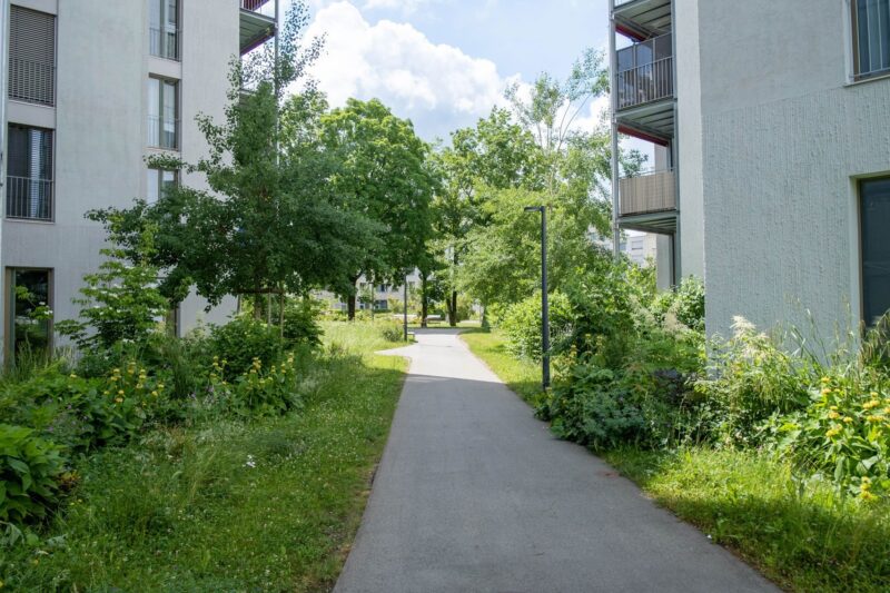 Kolb helen keller 1704x1136 210628 02