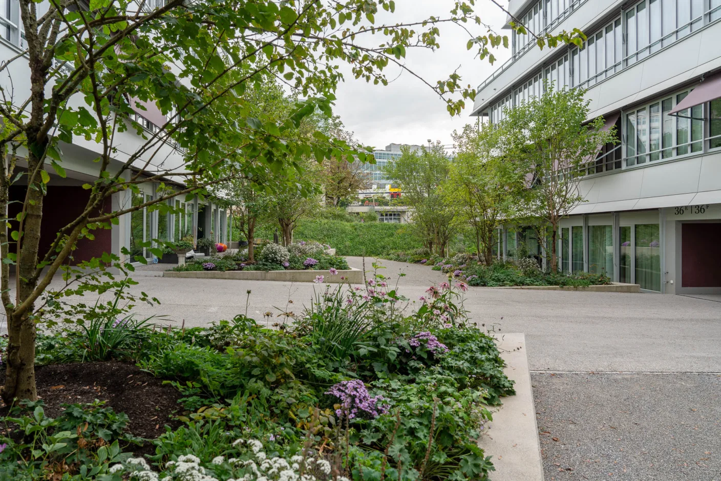 W Baden Roemerstrasse DSC5033